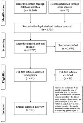 Interventions for Perinatal Depression and Anxiety in Fathers: A Mini-Review